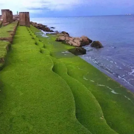 Dias De Ensueno En Apartment *